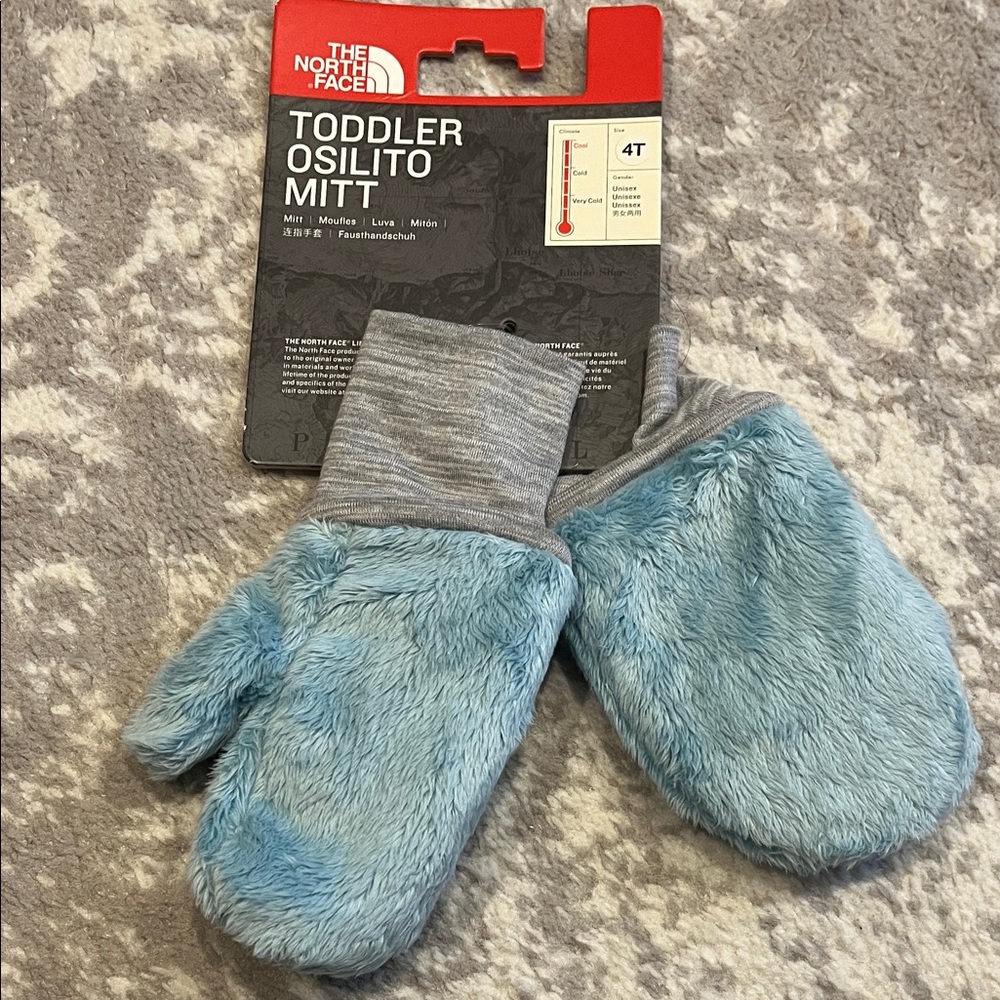 The North Face Gray and Blue Toddler Mittens